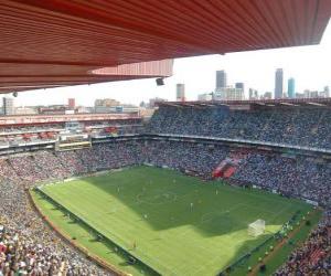 Układanka Ellis Park Stadium (61.639), Johannesburg