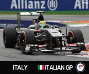 Układanka Esteban Gutiérrez - Sauber - Monza, 2013