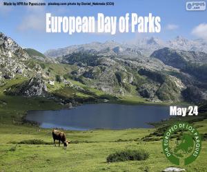 Układanka Europejski Dzień Parków