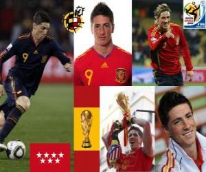 Układanka Fernando Torres (To się nam sen) Reprezentacja Hiszpanii do przodu