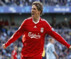Układanka Fernando Torres świętuje cel