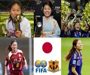 Układanka FIFA kobiet Światowy gracz zwycięzca roku 2011 poprzedzającej jej powieści Sawa