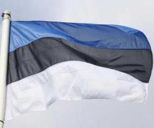 Układanka Flaga Estonii