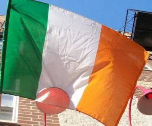 Układanka Flaga Irlandii