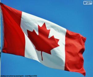 Układanka Flaga Kanady