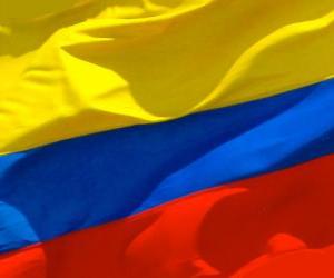 Układanka Flaga Kolumbii