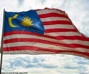 Układanka Flaga Malezji