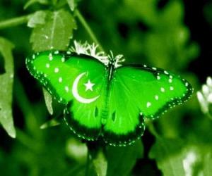 Układanka Flaga Pakistanu
