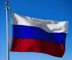 Układanka Flaga Rosji
