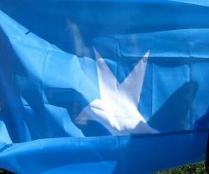 Układanka Flaga Somalii