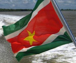 Układanka Flaga Surinamu