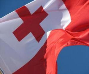 Układanka Flaga Tonga