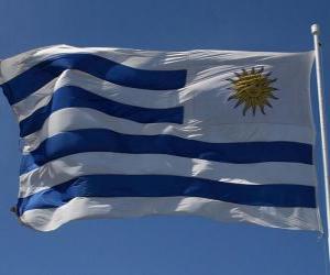 Układanka Flaga Urugwaju