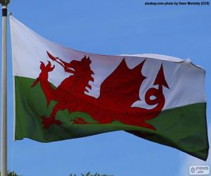 Układanka Flaga Walii