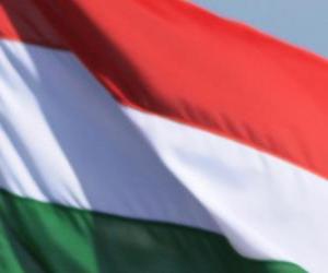 Układanka Flaga Węgry