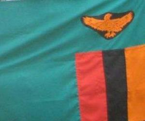 Układanka Flaga z Zambii
