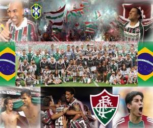 Układanka Fluminense Football Champion Club Championship w 2010 roku brazylijski