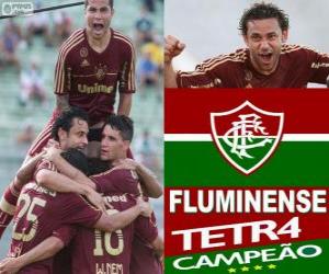 Układanka Fluminense Football Champion Club Championship w 2012 roku brazylijski