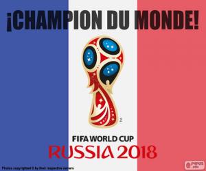 Układanka Francji, mistrz świata 2018