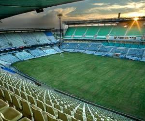 Układanka Free State Stadium (45.058), Mangaung - Bloemfontein