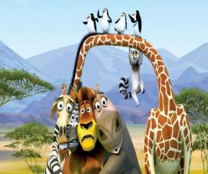Układanka Gloria hipopotam, żyrafa Melman, lew Alex, zebra Marty z innymi bohaterami przygody