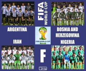 Układanka Grupa F, Brazylia 2014