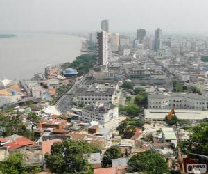 Układanka Guayaquil, Ekwador