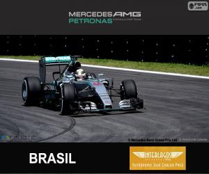 Układanka Hamilton, Grand Prix Brazylii 2015