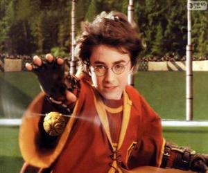 Układanka Harry Potter rzucanie piłki