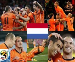 Układanka Holandia RPA 2010 finalista