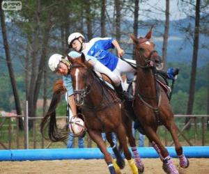 Układanka Horseball