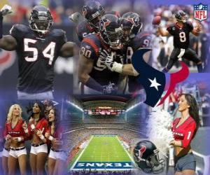 Układanka Houston Texans