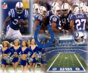 Układanka Indianapolis Colts