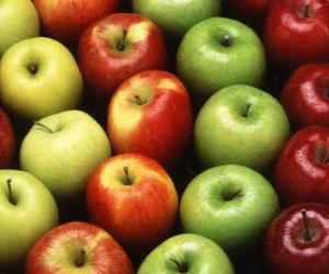Układanka Jabłka różnych typów