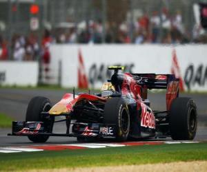 Układanka Jaime Alguersuari - Toro Rosso - Melbourne 2010