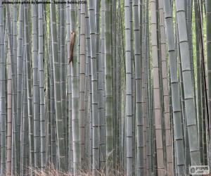 Układanka Japoński bambusowym lesie