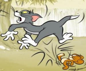 Układanka Jerry daje kopa w tył Tom