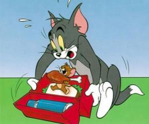 Układanka Jerry eats Tom pikniku