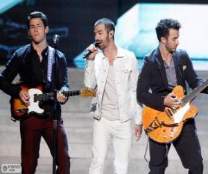 Układanka Jonas Brothers 2013