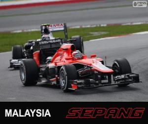 Układanka Jules Bianchi - Marussia - Sepang 2013