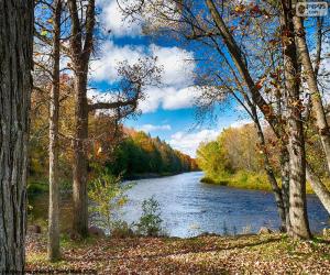 Układanka Jumbo River, Stany Zjednoczone