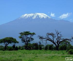 Układanka Kilimandżaro, Tanzania