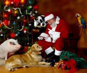 Układanka Kilka zwierząt z Santa