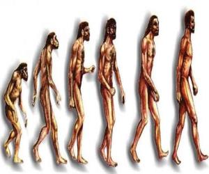 Układanka Kolejność ewolucji człowieka od australopiteka Lucy do współczesnego człowieka, przechodząc m.in. przez mężczyzn w Heidelbergu, Pekin, neandertalczyk i Cromagnon