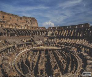 Układanka Koloseum, wnętrza