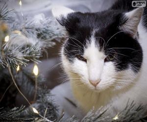 Układanka Kot na Boże Narodzenie