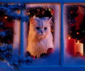 Układanka Kot wyglądając przez okno na Boże Narodzenie