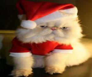 Układanka Kotek przebrany za Świętego Mikołaja