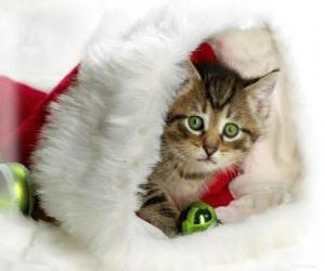 Układanka Kotek w czapkę Świętego Mikołaja
