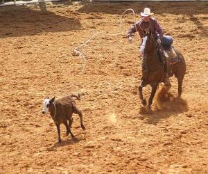 Układanka Kowboj jazdy konnej i połowu sztuk bydła z lasso